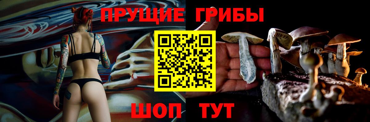 Псилоцибиновые грибы MAGIC MUSHROOMS Кубинка